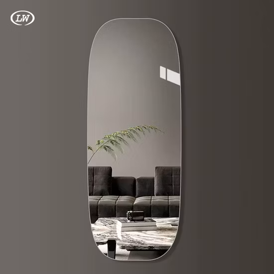 モダンな壁掛けミラーを飾る全長の雲の形のドレッシング